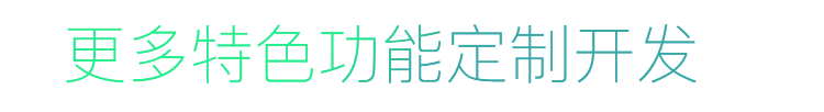 更多特色功能定制開發