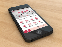 app開發采用html 5有什么效果